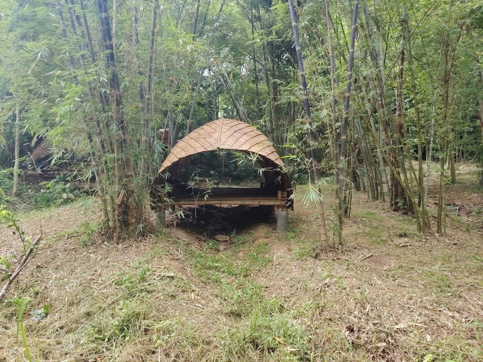 泰国 Bamboo Forest School 树林中的竹编织圆顶结构