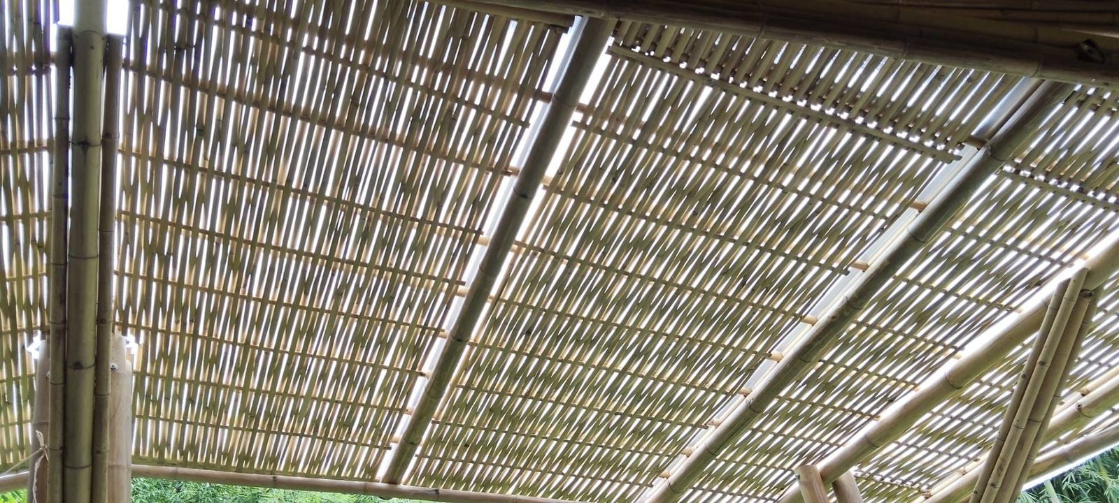 泰国 Bamboo Forest School 完全由经过处理的竹子建造的弯曲竹屋顶的细节