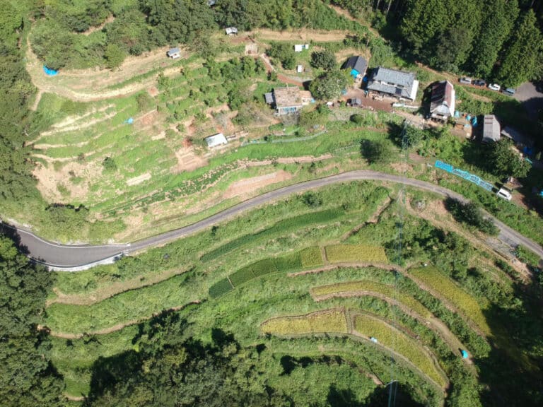 Permaculture Center Kamimomi