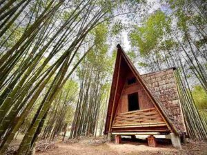 Suan Loong Choke Bamboo School