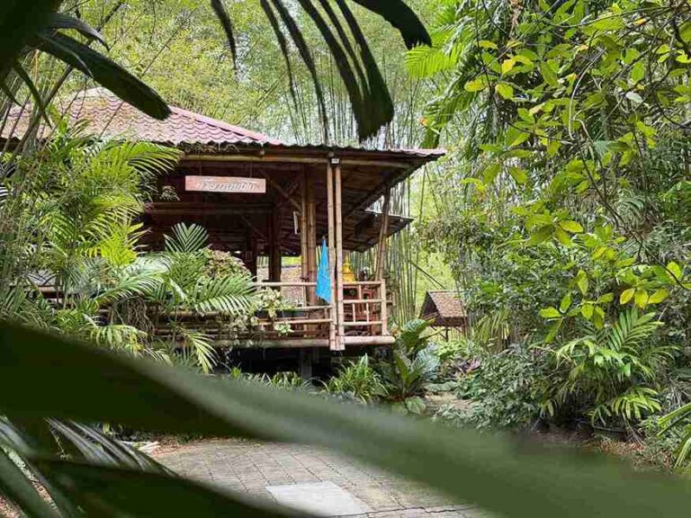 A bamboo house among jungle greenery at Suan Loong Choke Bamboo School, the Convergence venue