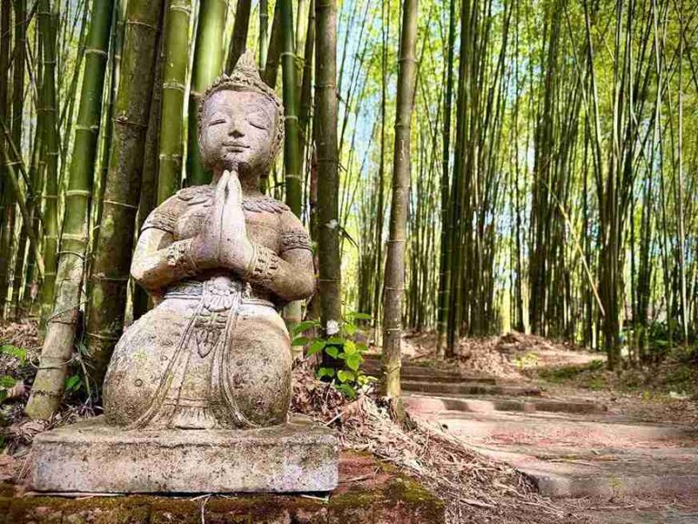 Thai Buddha statues in a bamboo forest, the IPC16 Convergence setting