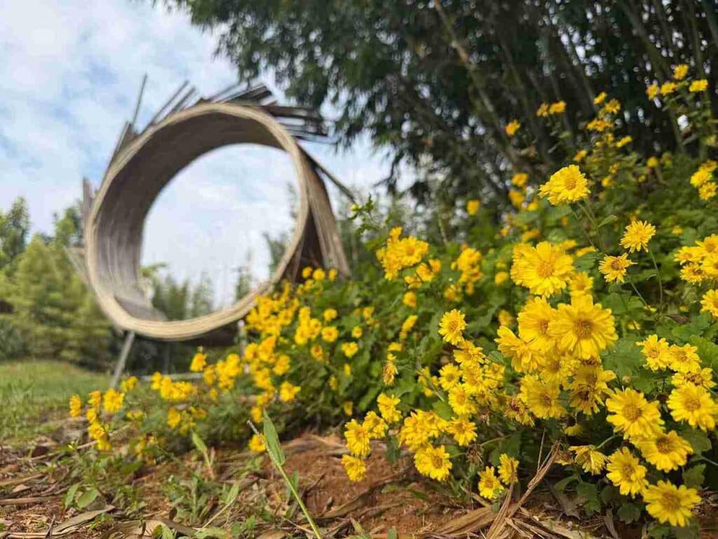 Yellow flowers at bamboo garden