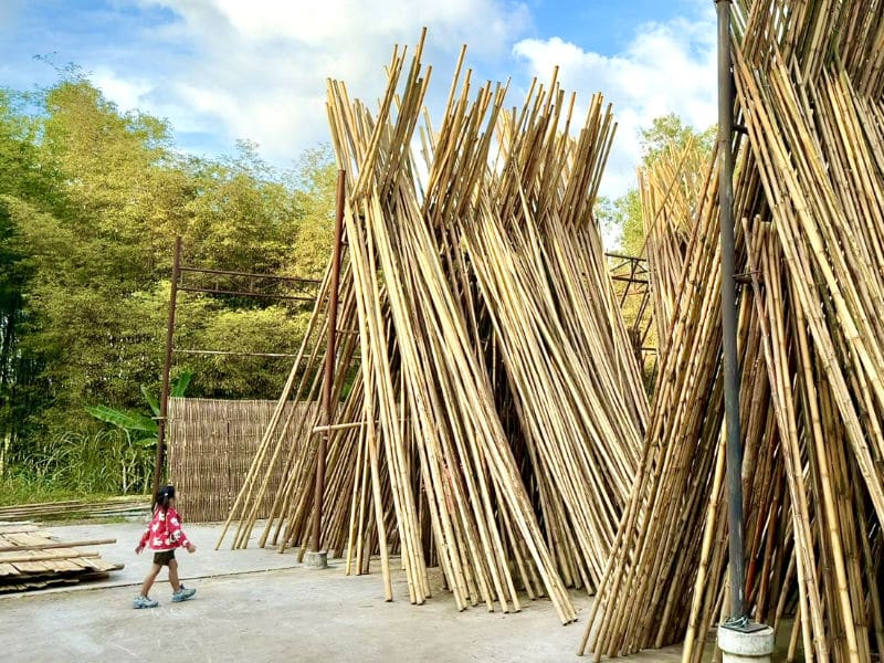 Bamboo workshop at IPC16