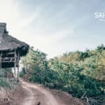 Sahainan permaculture farm Thailand