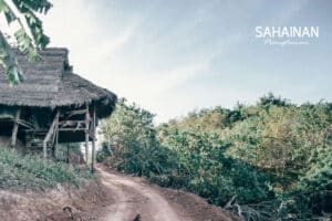 Sahainan Permaculture Organic Farm