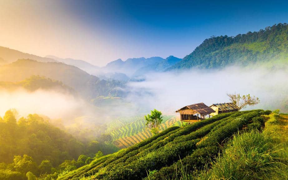 Global ecoversities Thailand Permaculture header