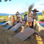 Punpun Permaculture farm in Chiang Mai, Thailand