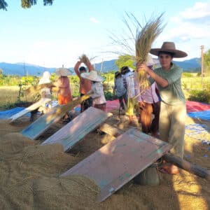 Punpun Permaculture farm in Chiang Mai, Thailand