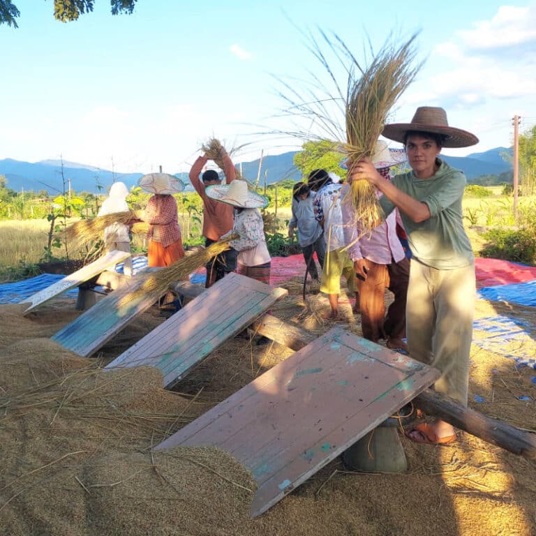 Punpun Permaculture farm in Chiang Mai, Thailand
