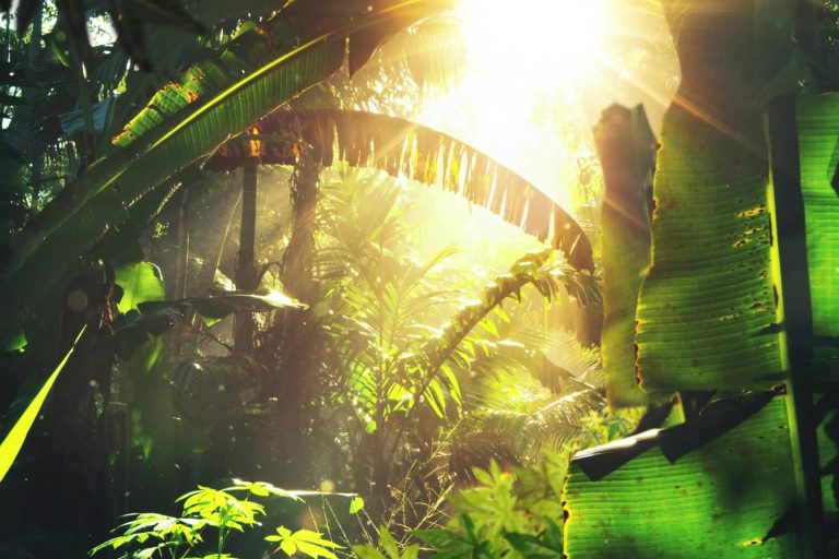 Eco-Logic Thailand