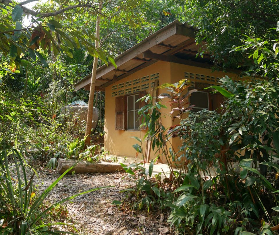 A small yellow earthen-walled cabin with a slanted roof and decorative vented windows, tucked into lush jungle planting at Feun Foo.