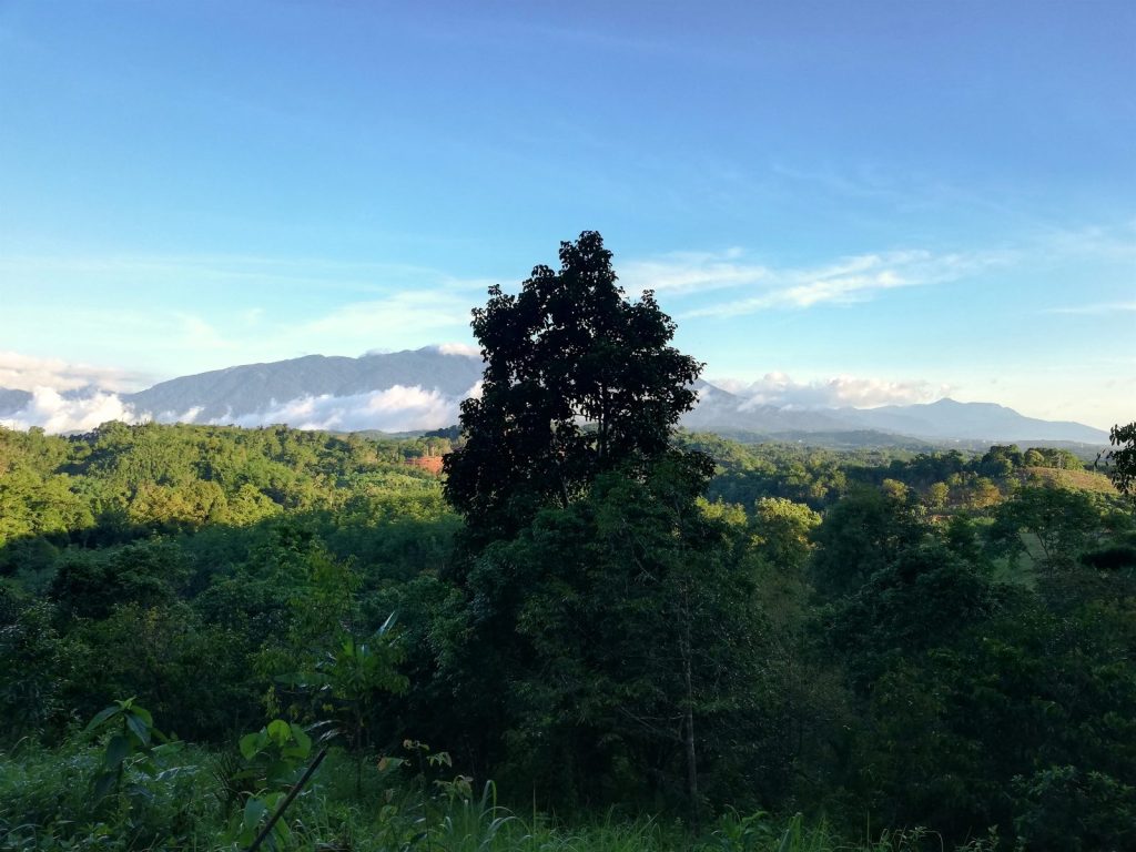 A broad landscape of green forested valley with a lone tall tree in the foreground and a hazy mountain range under a blue sky at Feun Foo.