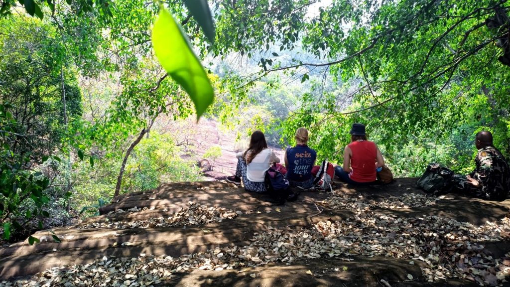 A small group sitting together outdoors among trees and banana plants during a nature-connection session at Gaia Ashram.