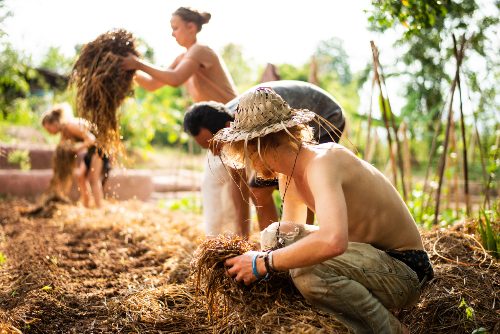 Several people work outdoors in sunlight handling armfuls of straw, mixing and packing natural building material by garden beds, one wearing a straw hat in the foreground, at The Panya Project, Mae Taeng, Chiang Mai.