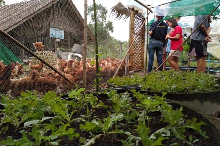 Raitiaviset Organic Farm