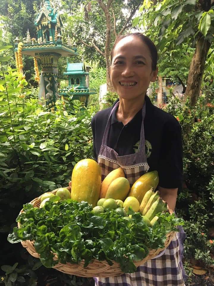 A farmer smiling while holding a basket of freshly harvested papayas, limes and leafy greens beside a Thai spirit house at Raitiaviset Organic Farm, Koh Phangan, Surat Thani.