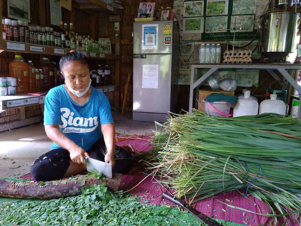 A woman chopping lemongrass on the floor of the farm shop, with shelves of homemade bottled products behind her, at Raitiaviset Organic Farm, Koh Phangan, Surat Thani.