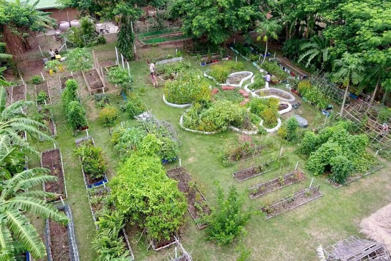 Rak Tamachat Permaculture