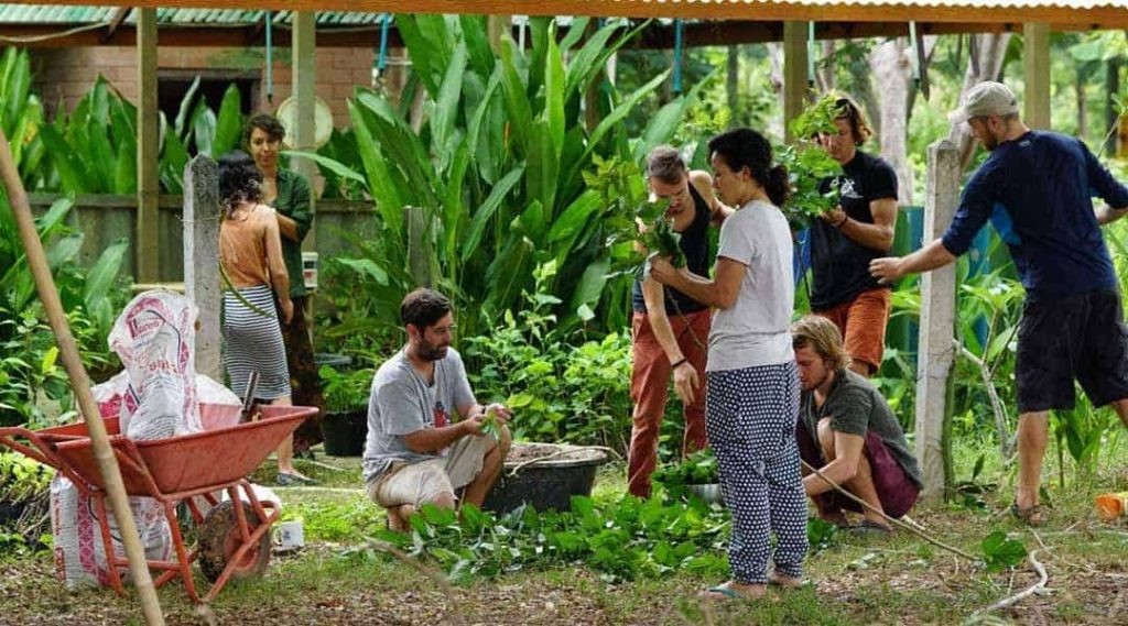 People propagating and potting plant cuttings under a shade structure in the nursery, with wheelbarrows and bags of potting mix, at Rak Tamachat Permaculture, Si Khiu, Nakhon Ratchasima.
