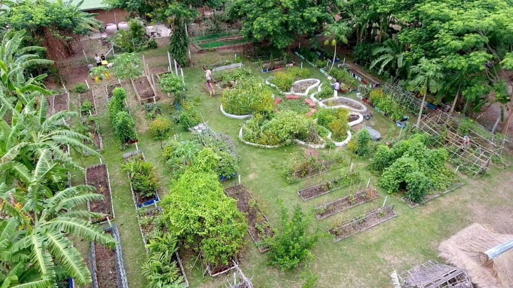 Aerial view of the production vegetable gardens, with rows of raised beds and curved keyhole beds among fruit trees and banana plants, at Rak Tamachat Permaculture, Si Khiu, Nakhon Ratchasima.