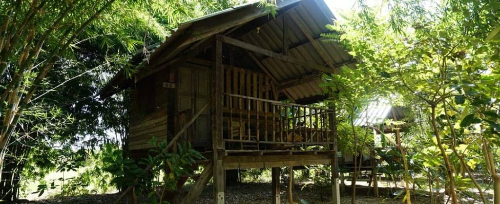 A raised wooden teak bungalow on stilts with a veranda, nestled among bamboo and trees, at Rak Tamachat Permaculture, Si Khiu, Nakhon Ratchasima.