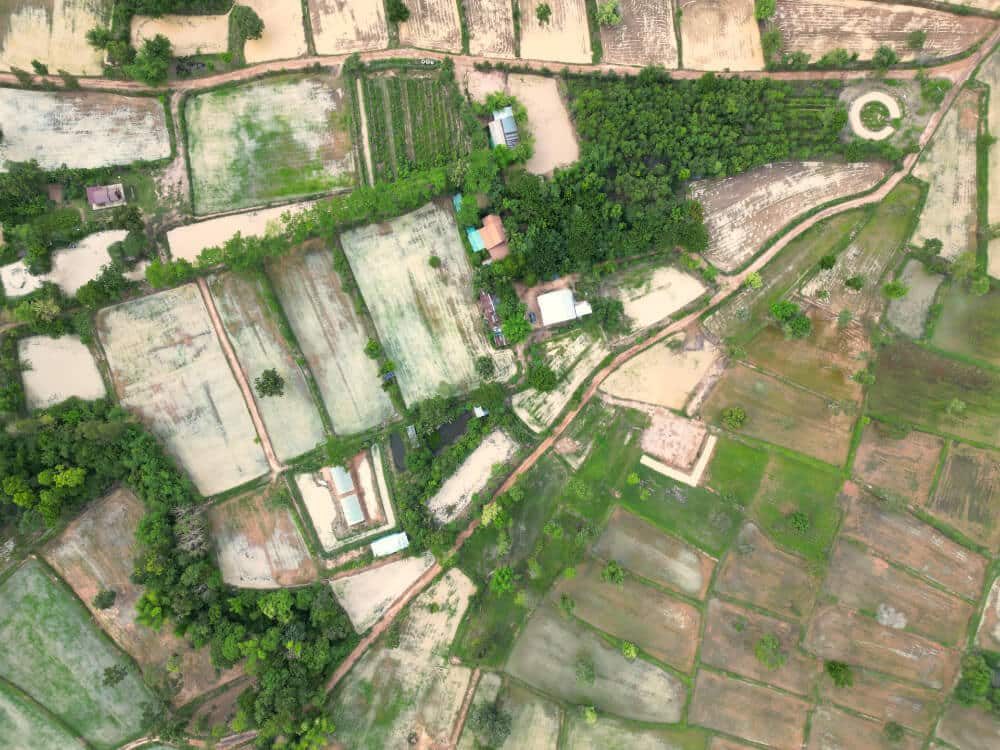 An aerial view of Suan Na Ta Bua organic farm in Ubon Ratchathani, showing its patchwork of rice paddies, ponds, gardens and farm buildings among the trees.