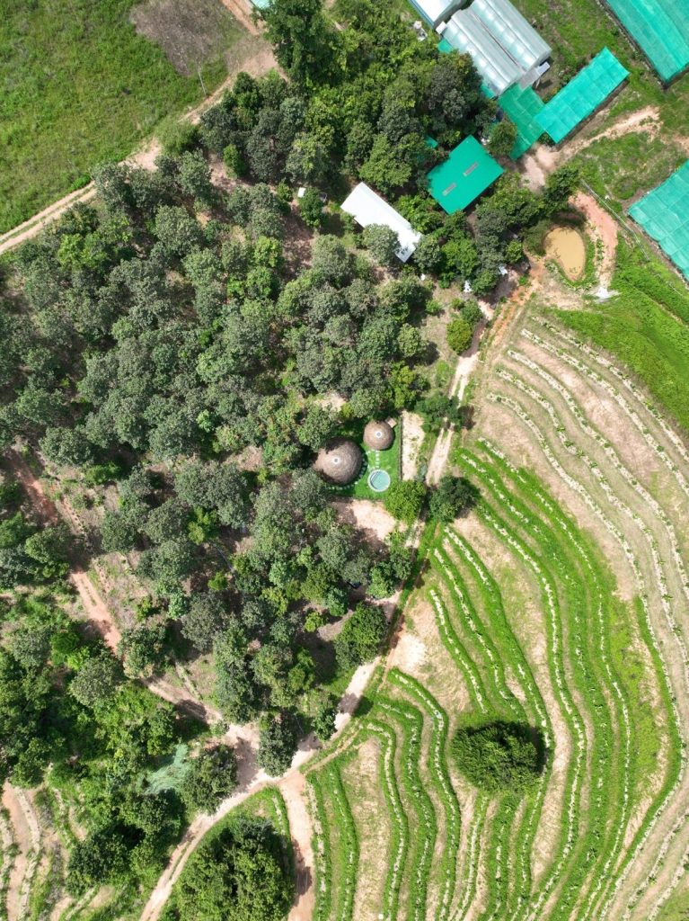 Aerial view of an established tree-filled food forest beside contour-planted growing beds at Sunshine Permaculture, Mae Taeng, Chiang Mai.