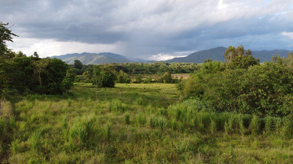 Grassland and trees on the farm with mountains and a cloudy sky beyond at Sunshine Permaculture, Mae Taeng, Chiang Mai.