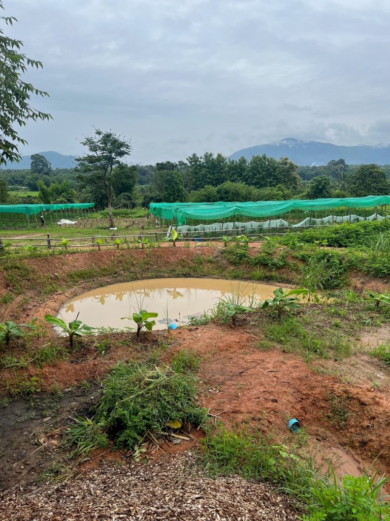 A small water-harvesting pond dug into the earth with planted beds and mountains behind at Sunshine Permaculture, Mae Taeng, Chiang Mai.