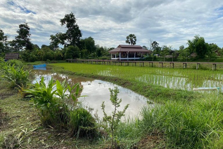 Suwan Organic Farmstay