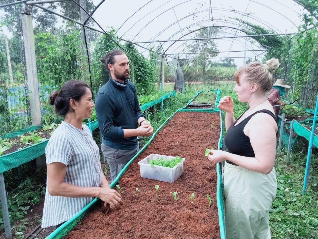 A woman and a man talking with volunteers over a tray of lettuce seedlings inside a netted poly-tunnel vegetable garden at Suwan Organic Farmstay, Phen, Udon Thani.