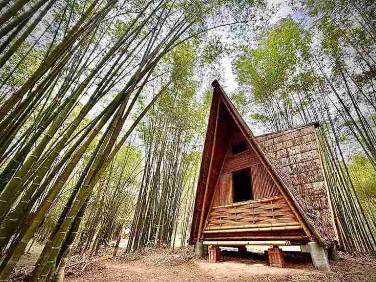 Bamboo Canopy Tower & Playground Workshop