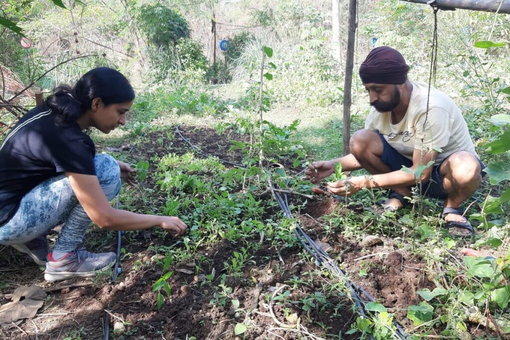 Two volunteers crouching to weed a vegetable bed at Earthen Routes Community Farm in Kharghar, Navi Mumbai.