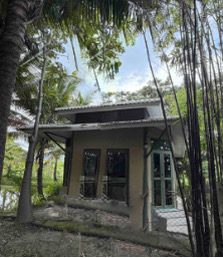 Small hand-built adobe house with a natural roof, set among bamboo and tropical planting
