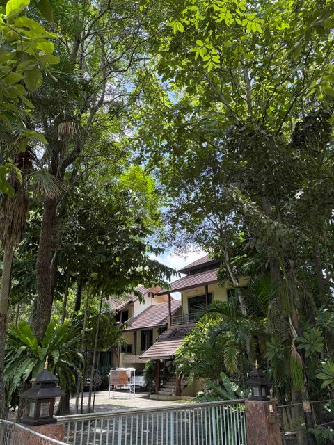 Traditional Thai-style house at the workshop venue, seen through the forest canopy