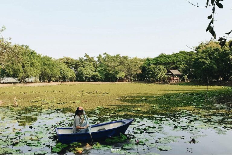 A person rowing a small blue boat across the lotus pond at Santi Wana Eco Community in Don Mueang, Bangkok, with trees and a wooden pavilion beyond.