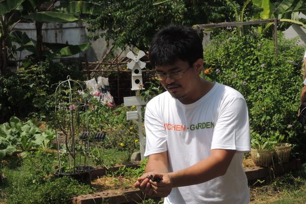 Nakorn Limpacuptathavon handling seedlings in the vegetable garden at The Veggie Prince's House, Lat Phrao, Bangkok, with a white birdhouse post and banana plants behind.